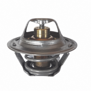 OES 317.53 Ford termostat 87°C